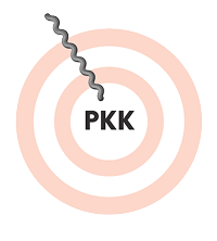 Graphic showing DAWNZERA targeting PKK in Step 3.